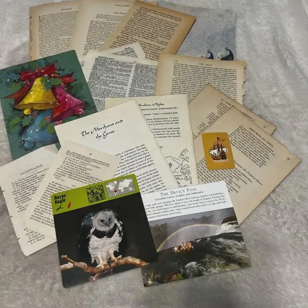 100+ piece Ephemera Lot 21 Collage Crafting Junk Journals Scrapbooking
